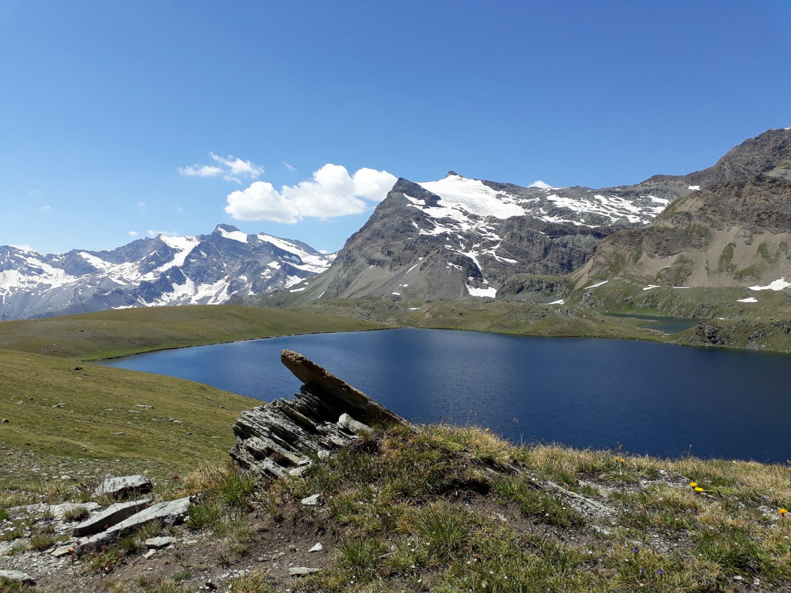 Foto Alessandra Masino